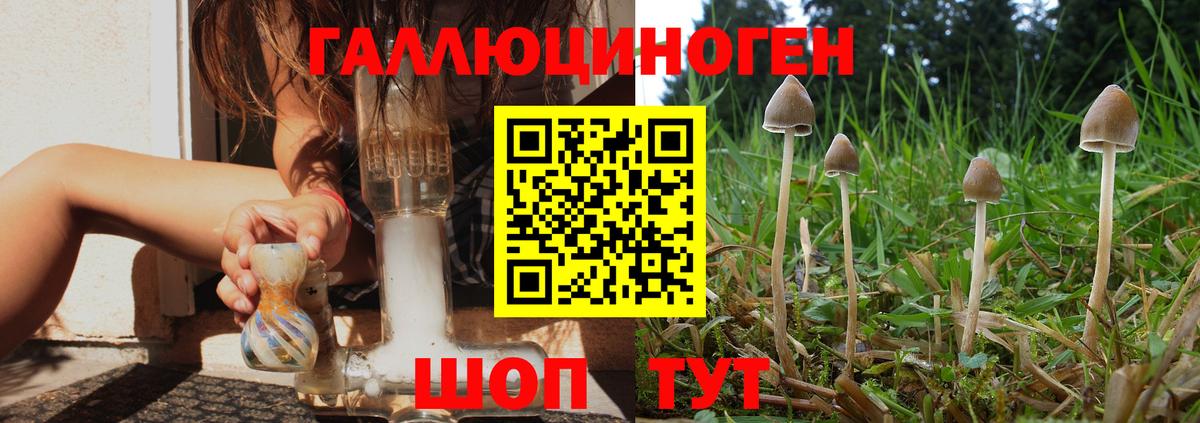 Галлюциногенные грибы ЛСД  Вход с VPN  Псилоцибиновые грибы мухоморы  Дедовск 